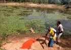 अवैध शिकार; वन्य प्राणियों को मारने के लिए तालाब में लगाया था करंट, चीतल के साथ शिकारी की भी मौत