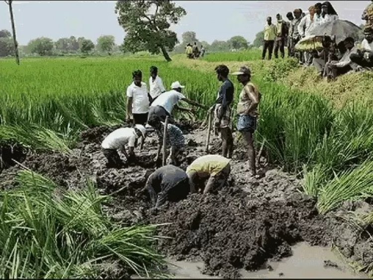 फांसी की रस्सी रखकर जुआ खेलोगे तो नहीं हारोगे ...3 साल से लापता युवक का कंकाल मिलने के बाद ये हुआ खुलासा